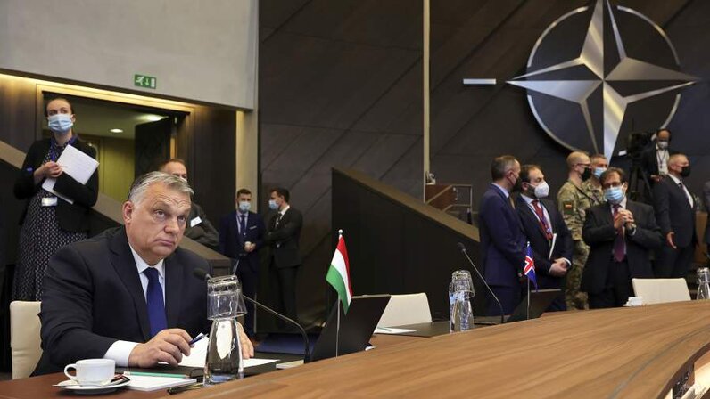 Юридическая и фактическая конституция. План автономизации сталина. Признать необходимым заключение договора между республиками. Вступление в сочинение егэ по русскому. Проект автономизации сталина.