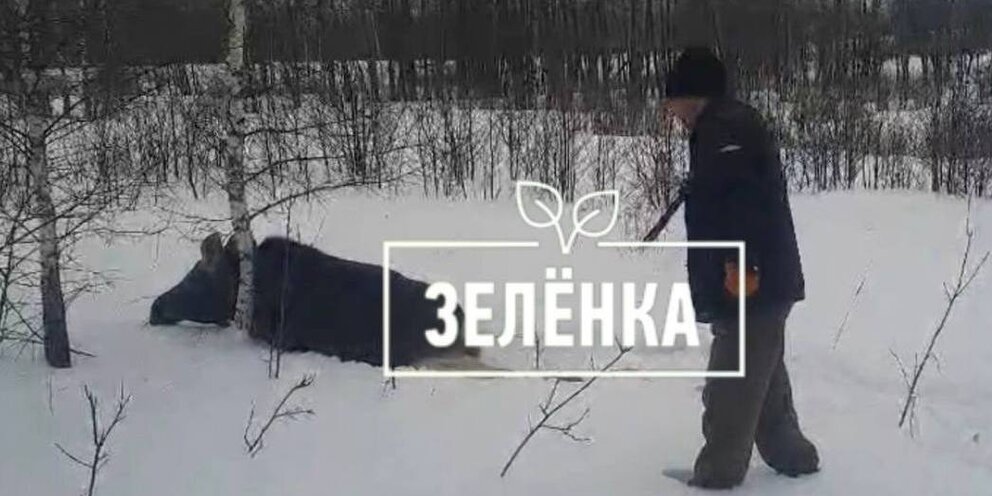 пожар в краснодаре на уральской. туши пожар пока в беду не попал. пожар на русаковской улице. пожар в тушах. старицком.