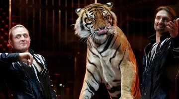 Братья запашные национальность. Цирковая династия запашных. Династия запашных. Эдгард и аскольд запашные. Вальтер михайлович запашный.