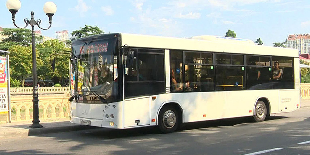 Автобус 105 адлер. Маршрут автобуса 105 аэропорт сочи. На автобусе из сочи на розу хутор. Маршрут автобуса 105 аэропорт сочи. Маршрут автобуса 105 аэропорт сочи.
