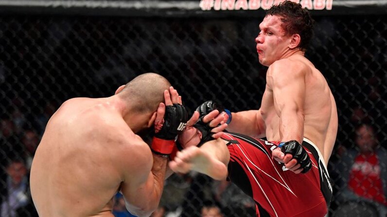 Шахбазян UFC