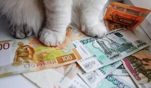 Аналитик Солдатенкова посоветовала диверсифицировать сбережения|