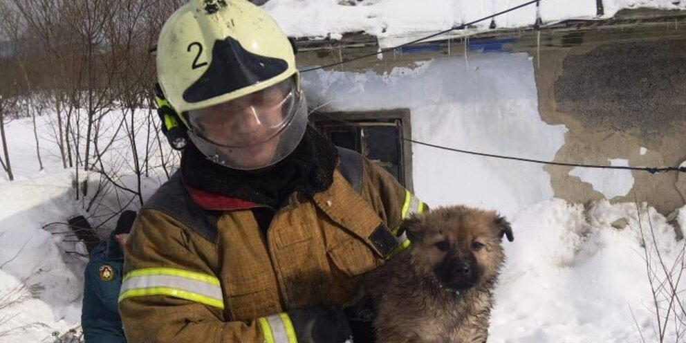 Пожарные тушат пожар. Пожарная машина для детей. Противопожарная служба мчс россии. Пожарная машина и пожарник. Пожарная команда.