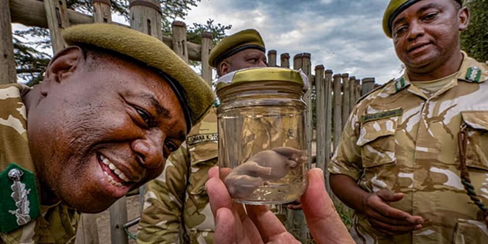 южане плантаторы сша 19 век. мулаты и метисы смешанные браки. село адзюбжа абхазия. александр пушкин негр. золото в темной ночи лия арден.