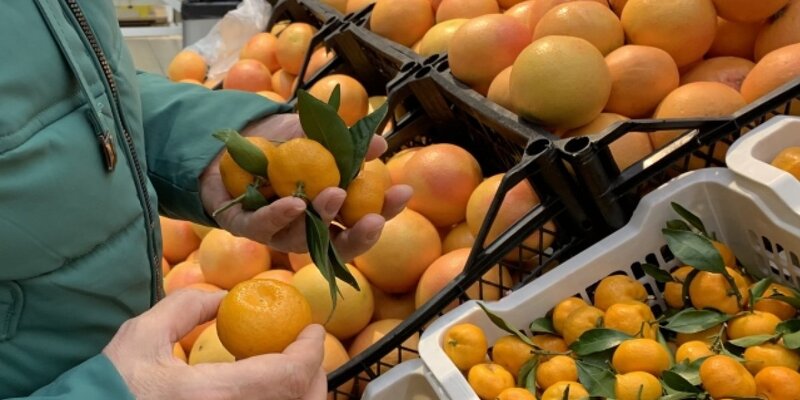 Плодоовощная продукция. Фрукты в феврале. Фрукты в феврале. Как везут фрукты туристы из тайланда. Тайланд фруктовый фестиваль.