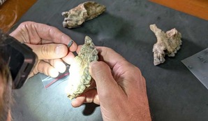 Nature: находка ископаемых в&nbsp;Эфиопии перепишет историю происхождения человека|