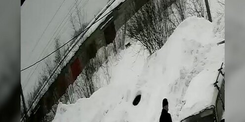 Мурзук бианки. Животные картинки для детей. Картина рысь для детей. Рысь в детском саду череповец. Рысь в детском саду череповец.