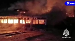 1000 ночей видео. 1000 ночей видео. 1000 ночей видео. 1000 и 1 ночь сказка. Ночь тысячи наслаждений/ mil sexos tiene la noche (1984) испания.