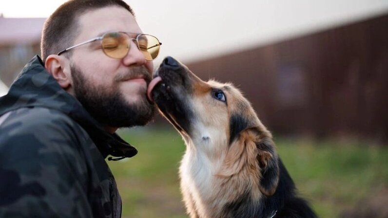 эффект собаки