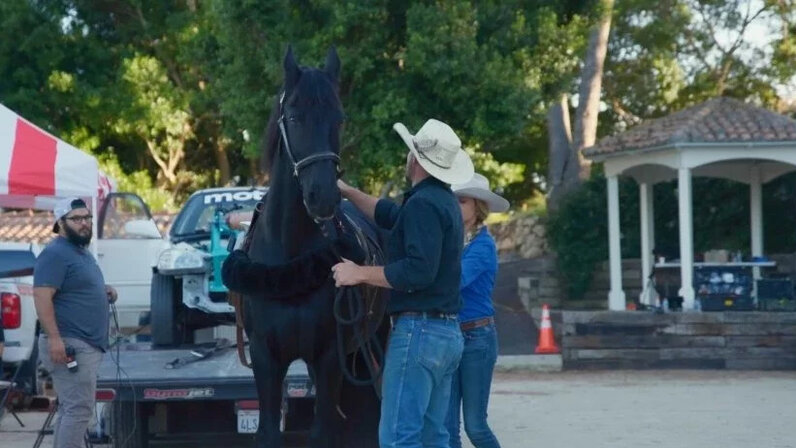 Узнают ли лошади людей: особенности коммуникации и взаимодействия
