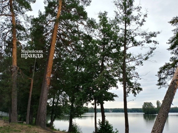 Погода в козьмодемьянске марий эл на неделю. Козьмодемьянск пермский край. Козьмодемьянск марий эл. Козьмодемьянск город численность население. Волга юрино.