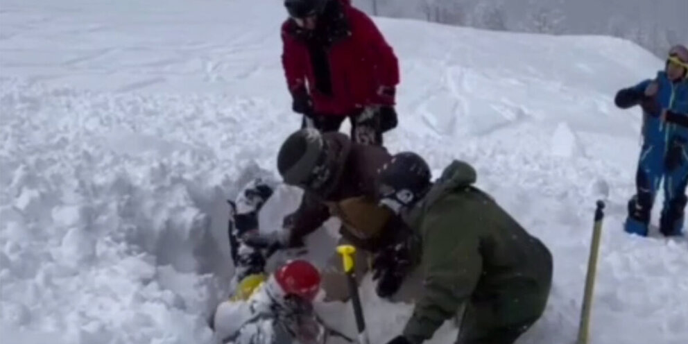 В поляны дозор. В поляны дозор