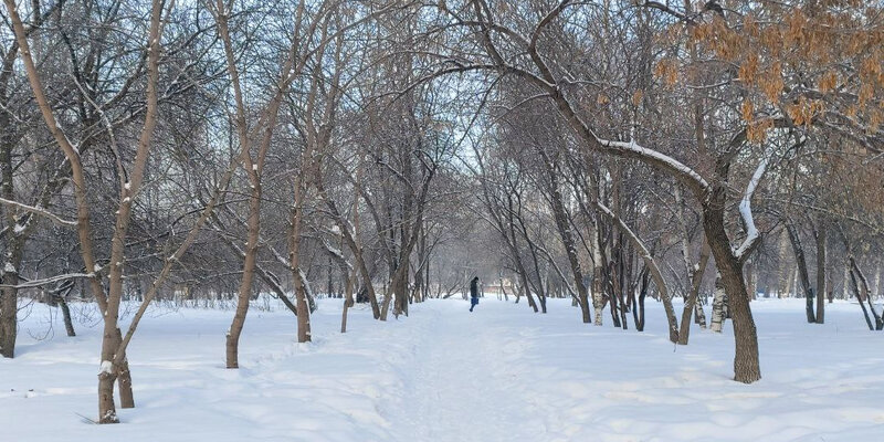 вакансии в первомайском районе новосибирска для женщин