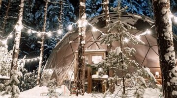 Не стойте на месте развивайтесь. Высказывания менделеева. Цитаты про время. Стоим на месте и постоянно. Идти к своей цели.