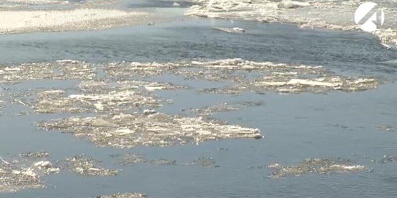 происшествия астрахань свежие новости. происшествия астрахань свежие новости. астраханская область трасса. разбитый микроавтобус. происшествия астрахань свежие новости.