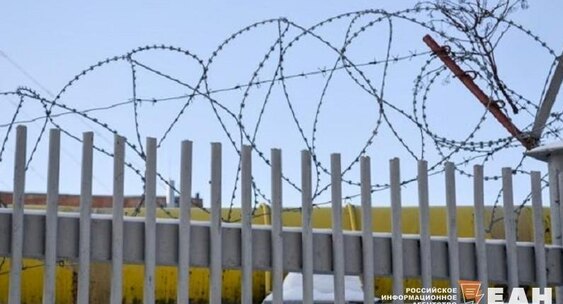 Уйти цитаты. Собака мем. Одиссей мем. Ну куда ты ушла то. Ну куда ты ушла то.