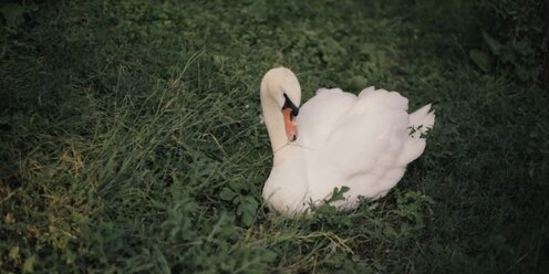 ооо парок. демонстрационный стенд paroc. 11,52м2. парок утеплитель новый. парок экстра смарт.