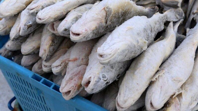 какая рыба в продаже. рыба на прилавке. рыба магазинная. рыбный магазин. рыба на рынке.