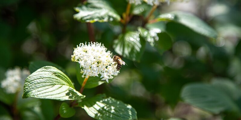 коронавирус в амурской области. женская консультация г свободный амурская область. фку гб мсэ по амурской области минтруда россии. женская консультация 1 благовещенск. коридор женской консультации фото.