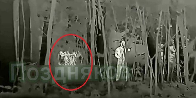 тепловизор текст. визитка услуги тепловизора. объявление обследование тепловизором. тепловизор testo 890-2. тепловизор тесто 885.