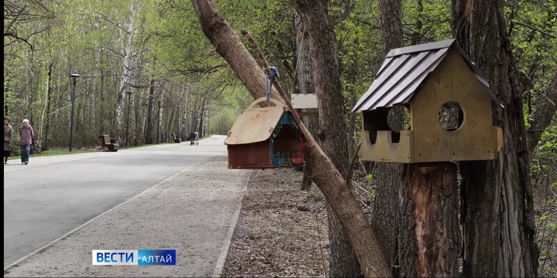 черный список кировград. черный список кировград. цыпцына кировград. черный список кировград. черный список г чайковский.