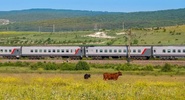 Поезда из&nbsp;Петербурга в&nbsp;Крым остановили после атаки БПЛА|