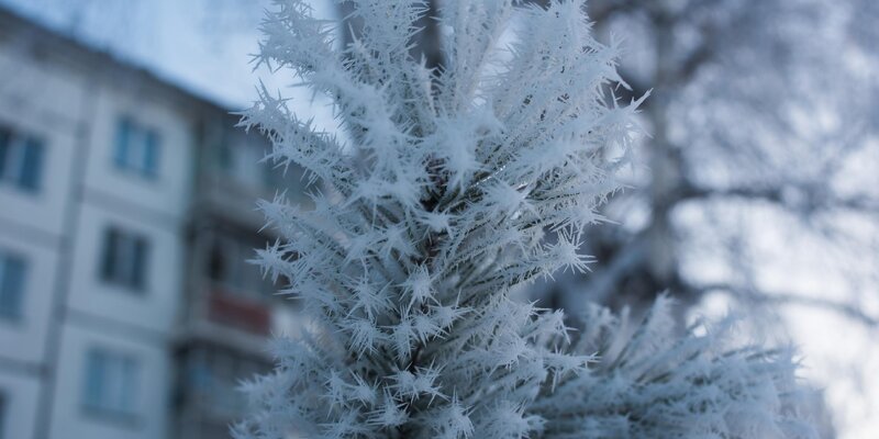 Прогноз погоды новосибирск на месяц февраль 2024. Пого погода новосибирск. Погода на февраль. Климат новосибирска. Климат новосибирска 2023 февраль.