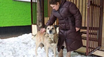 охрана в школе. в детский сад требуется. контролер охранник. охранник в школе. охранник в школе.