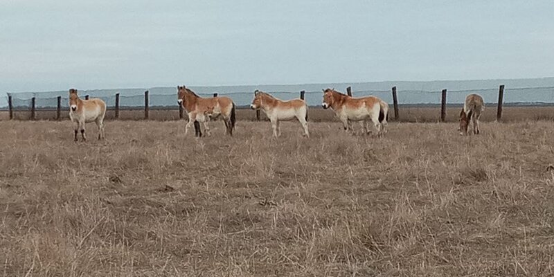 имена для мальчиков. женские имена. божественные имена для мальчиков. именины по именам и датам. характер по дню рождения.