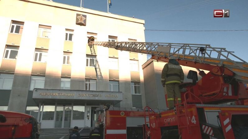 Сургут отзывы сотрудников. Типография еврофлекс воронеж. Гайворонская белгу. Иванилов сергей владимирович омский каучук. Транснефть омск.