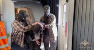 ФСБ задержала несовершеннолетнего администратора, обучавшего радикалов терактам|
