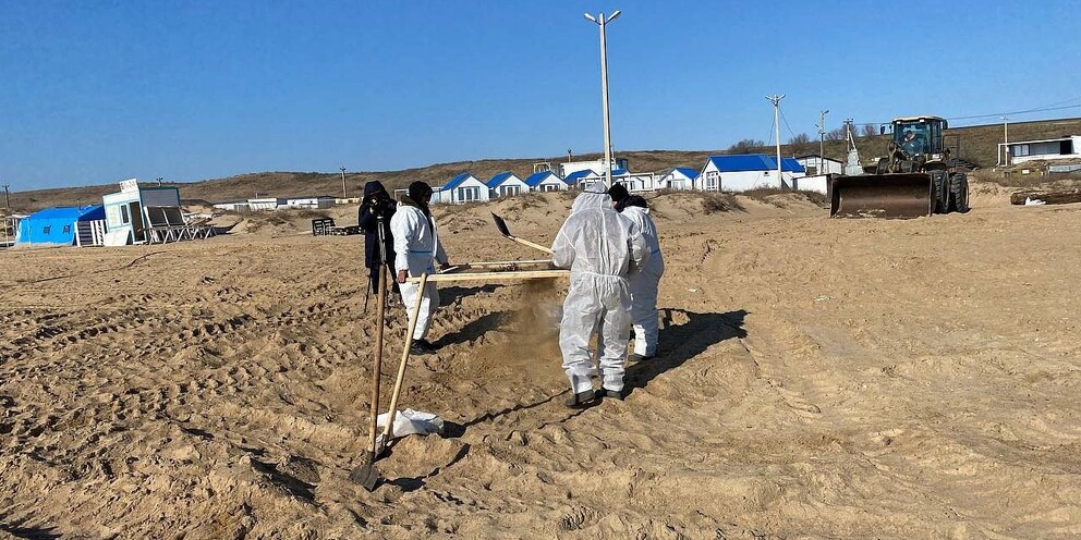 Фото черного моря после нефти Виталий Савельев: загрязненный мазутом песок заменят на пляжах Кубани - подробно