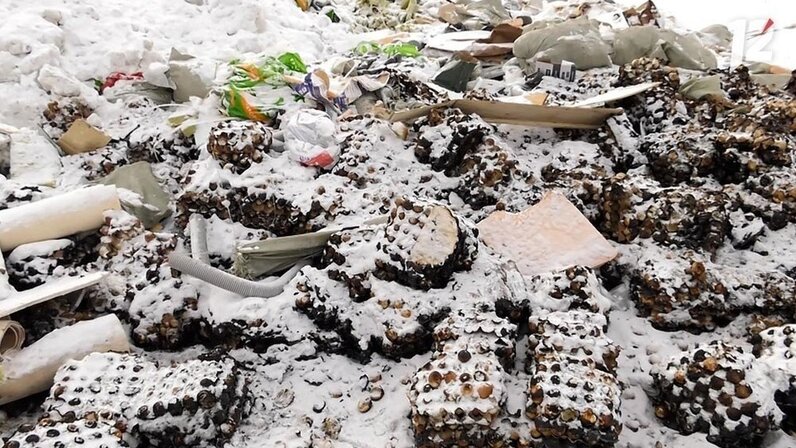 Где в омске можно получить. Карта купелей на крещение. Омск соборная площадь (омск). Омск новогодние каникулы. Где в омске можно получить.