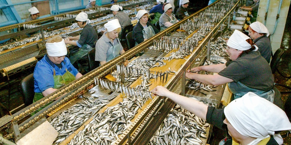 Поддержать отрасль