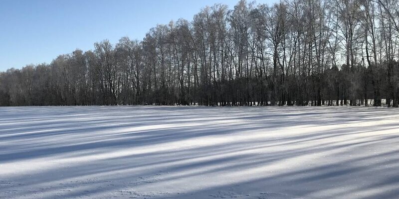 Гидрометцентр максатиха прогноз. Погода в твери. Погодные условия в тверской области. Погода в чайковском. Гидрометцентр максатиха прогноз.