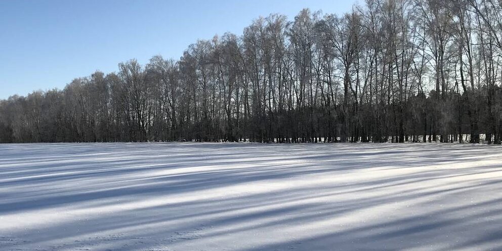 Погода брянская область две недели