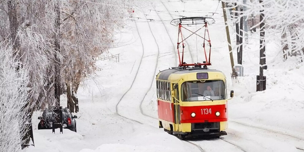 горячая линия роспотребнадзора. горячая линия здравоохранения воронежской области. автобус горячая линия. горячие линии ижевск. номер телефона горячей линии.