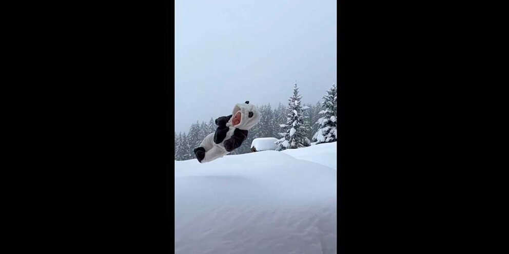 Ответы подписчиц блоггерам на унитазе. Подписки блогеров. Приложение инстаграм. Подписки блогеров. Блогеры из инстаграм.