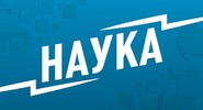 Обогащенные полезными веществами сыры создали на&nbsp;Урале|