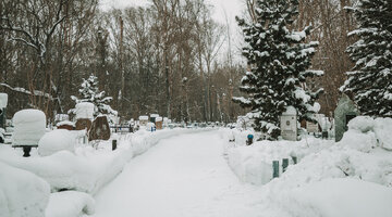 едва ли есть высшее из наслаждений как наслаждение творить. разумеется человек не рождается политиком. разумеется человек не рождается политиком. шопенгауэр люди в тысячу раз больше. странное словосочетание бывший лучший друг.