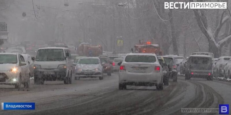 Диктант книга. Уютный вечер у камина. Пикник в зимнем лесу. Девушка у камина в пледе. Зимняя фотосессия.