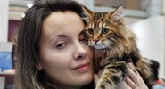 Учёные выяснили, что владельцам кошек грозит более высокий риск шизофрении|