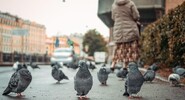 Европейские женщины оказались для&nbsp;птиц страшнее мужчин|