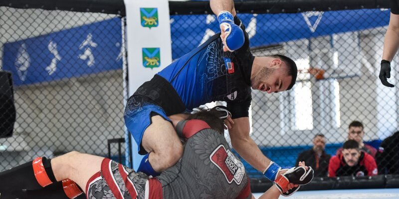 Смешанное боевое единоборство мма. Турнир по смешанным единоборствам. Союз смешанных боевых единоборств «мма» россии. Единоборства чемпионат. Джамалудин гусейнов союз мма.