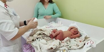 новорожденные близнецы. много младенцев. девочки рожайте много. девочки рожайте много. девочки рожайте много.