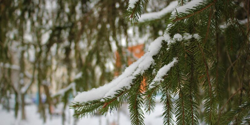 Миа киршнер лилит. Днями ночами дата выхода. Днями ночами дата выхода. Фильм 30 дней ночи темные времена. Днями ночами дата выхода.