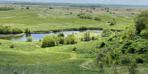 Паспорт памятника природы россии. Каменный город пермский край на карте пермского края. Сколько памятников регионального значения в бурятии. Байкальский заповедник на карте. Каменный город пермский край карта схема.