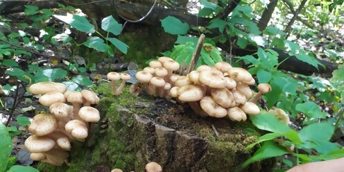 Камская 7 хабаровск. Чайковский камская 1. Крайпрудская 44 пермь. Камская 9. Камская улица 24.