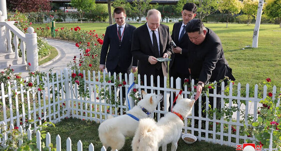 https://avatars.dzeninfra.ru/get-ynews/271828/f94203ab815c282ea43d10bd0e882aeb/563x304