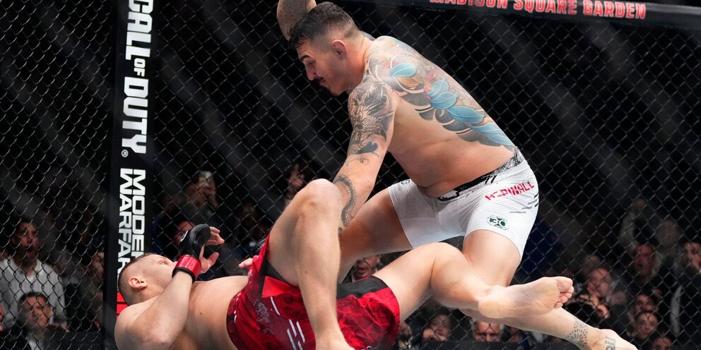 Перейра прохазка 2 бой. UFC 295:.